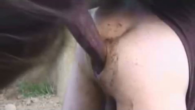 Sex Con Caballos - Disfrutando del enorme pene del caballo - Tema Gay - Porno Sexo Fotos xxx  Machos Gay Pene